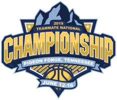 teammate tournament 2019