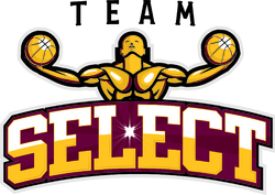 Team select