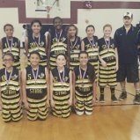 Sting Basketball Club – SBC ELITE