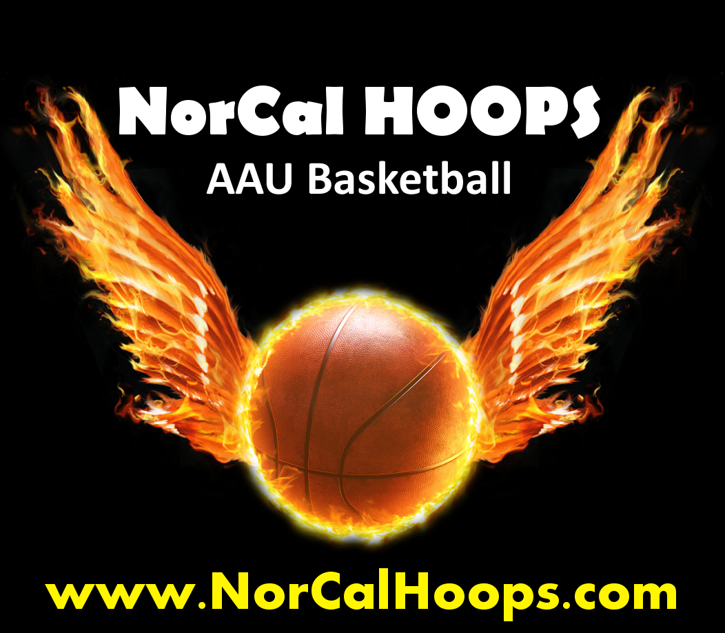 NCHOOPS Logo