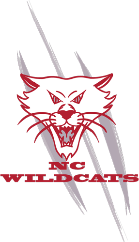 wildcats 1